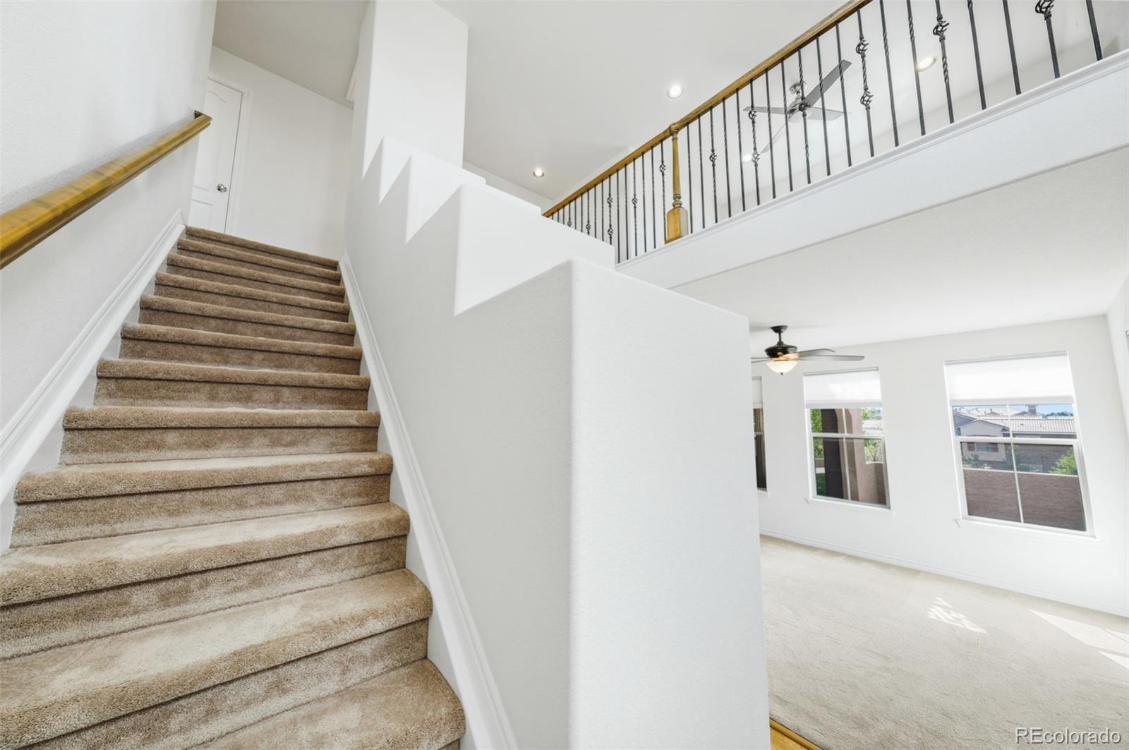 MLS Image #15 for 9550  rosato court ,highlands ranch, Colorado