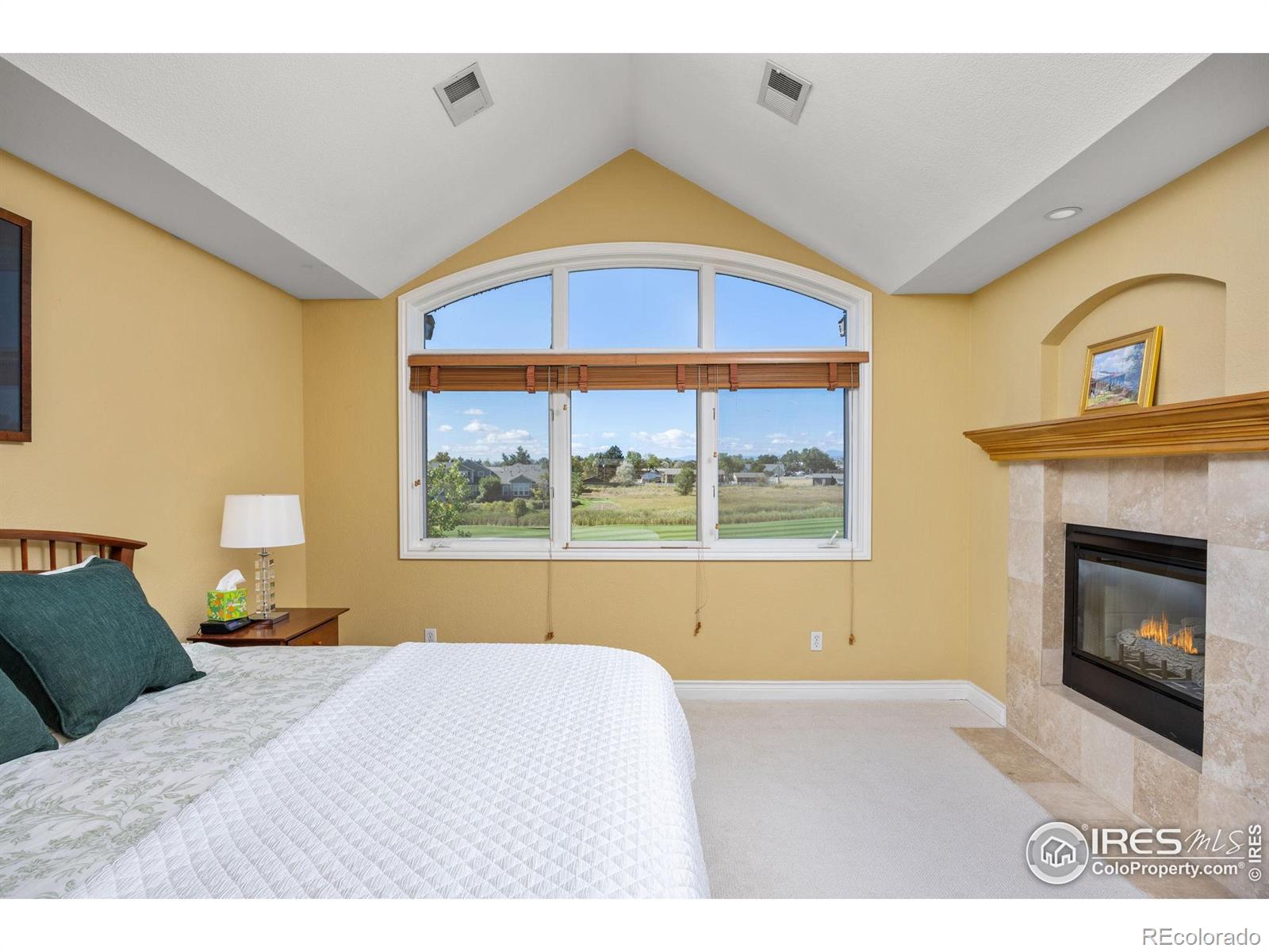 MLS Image #17 for 13755  troon court,broomfield, Colorado