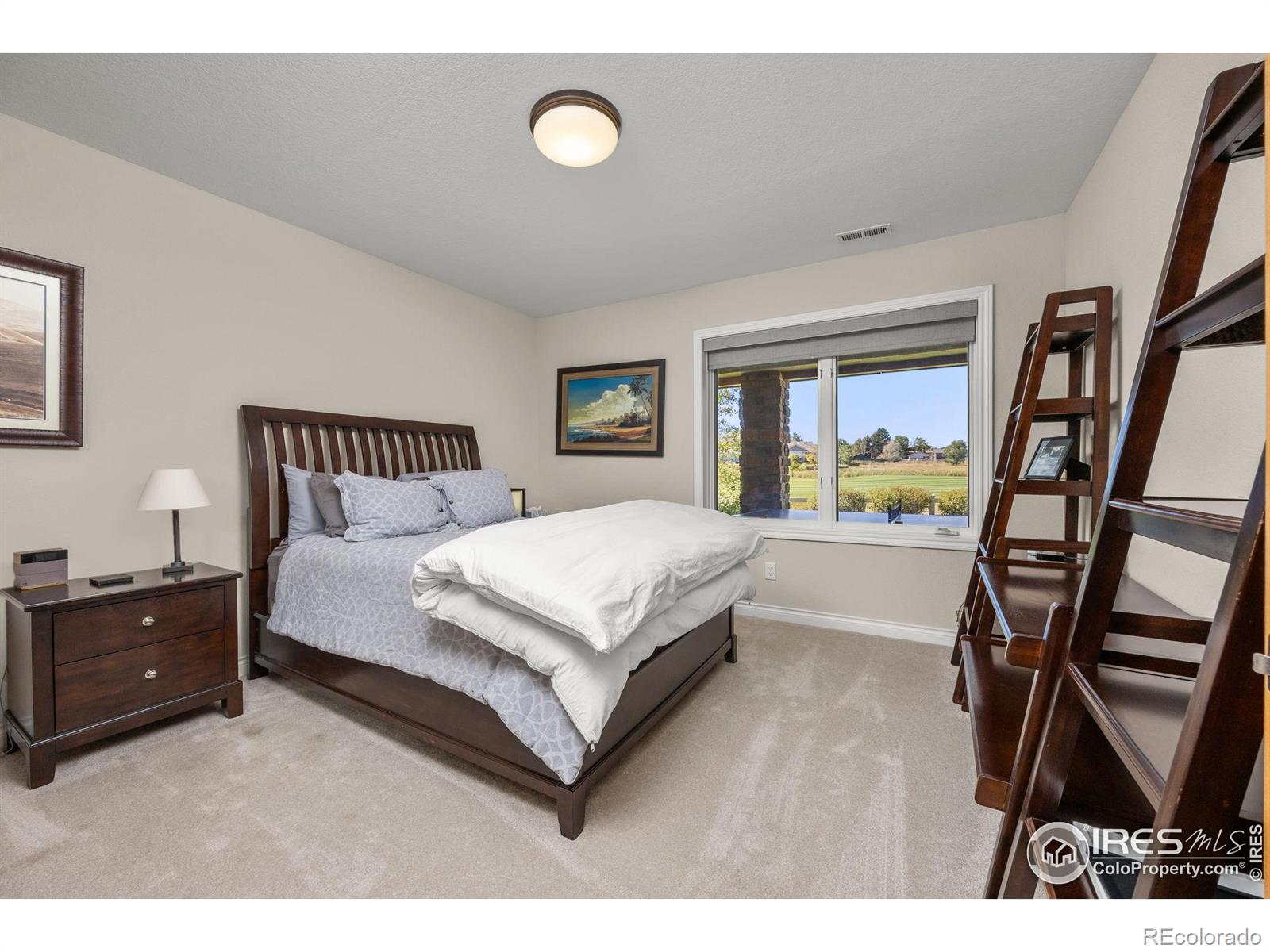 MLS Image #25 for 13755  troon court,broomfield, Colorado