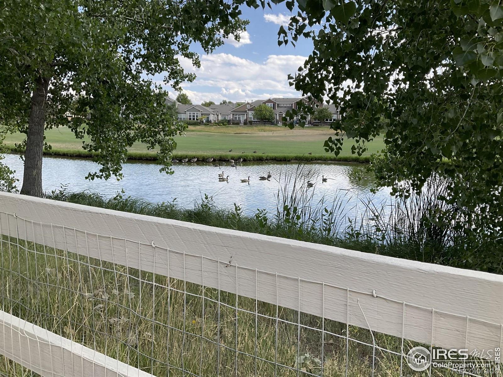 MLS Image #43 for 13755  troon court,broomfield, Colorado