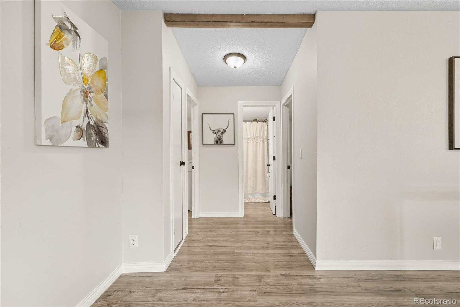 MLS Image #18 for 399  beaus drive,jefferson, Colorado