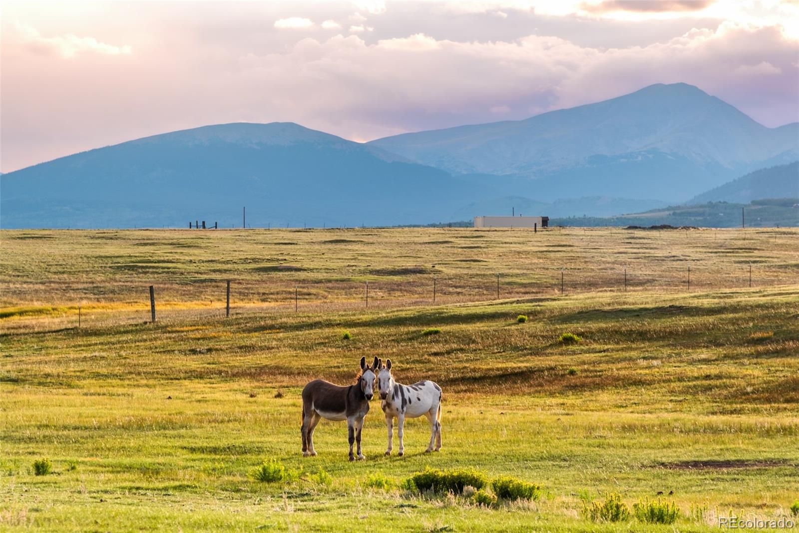 MLS Image #28 for 399  beaus drive,jefferson, Colorado