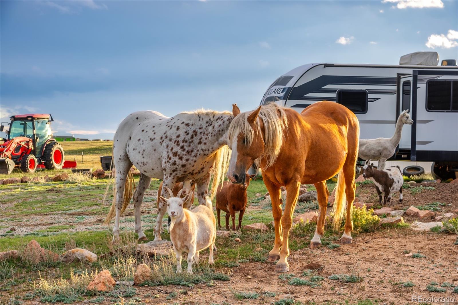 MLS Image #35 for 399  beaus drive,jefferson, Colorado