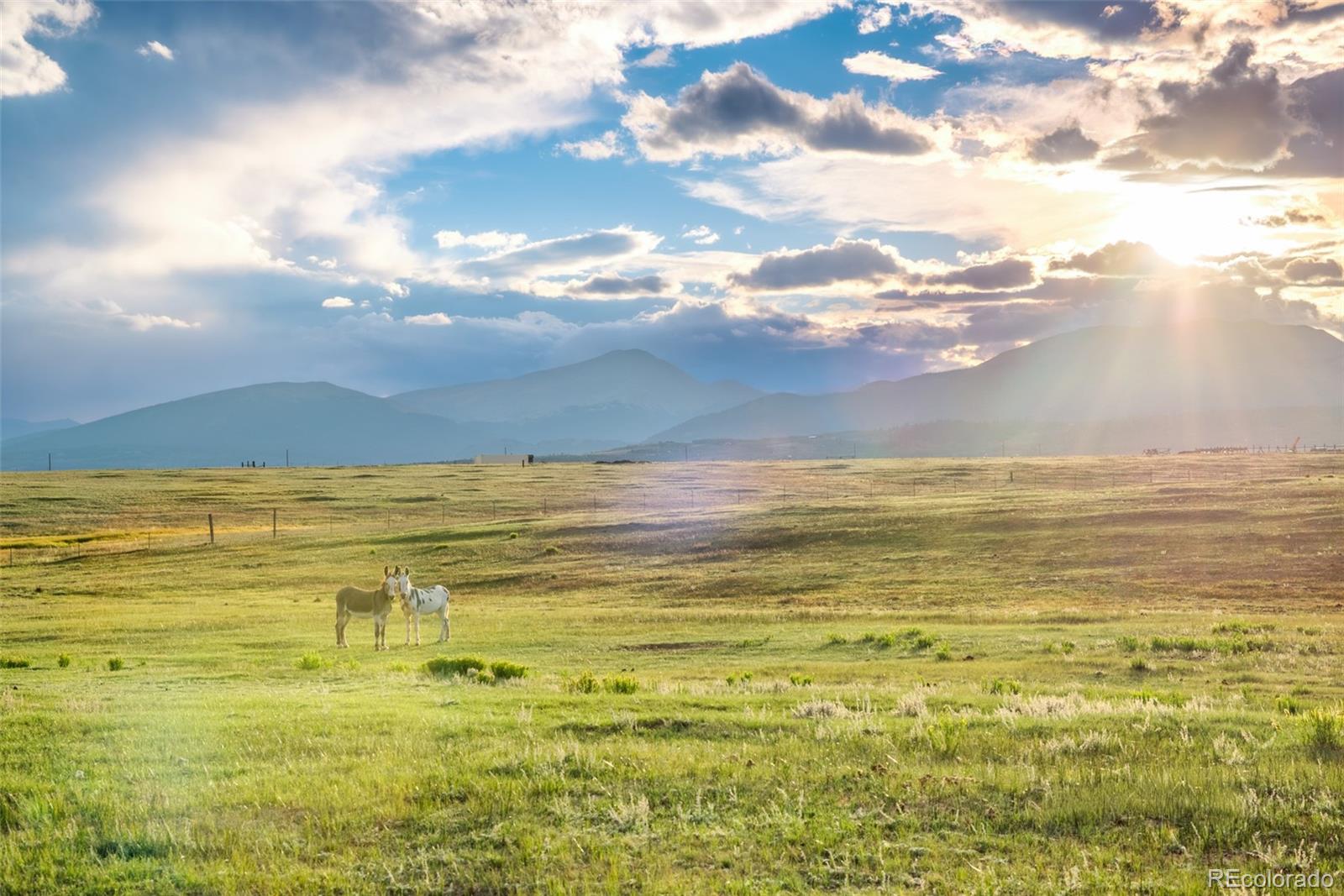 MLS Image #36 for 399  beaus drive,jefferson, Colorado