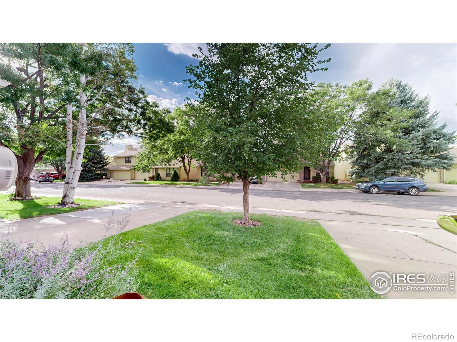 MLS Image #19 for 960  shire court,fort collins, Colorado