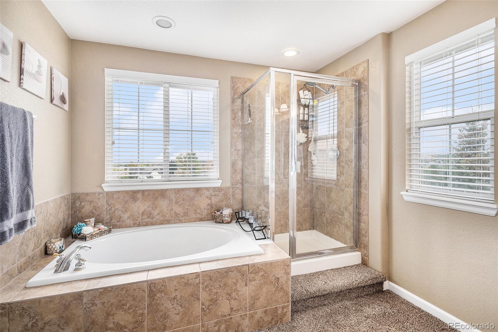 MLS Image #14 for 10547  laurelglen circle,highlands ranch, Colorado