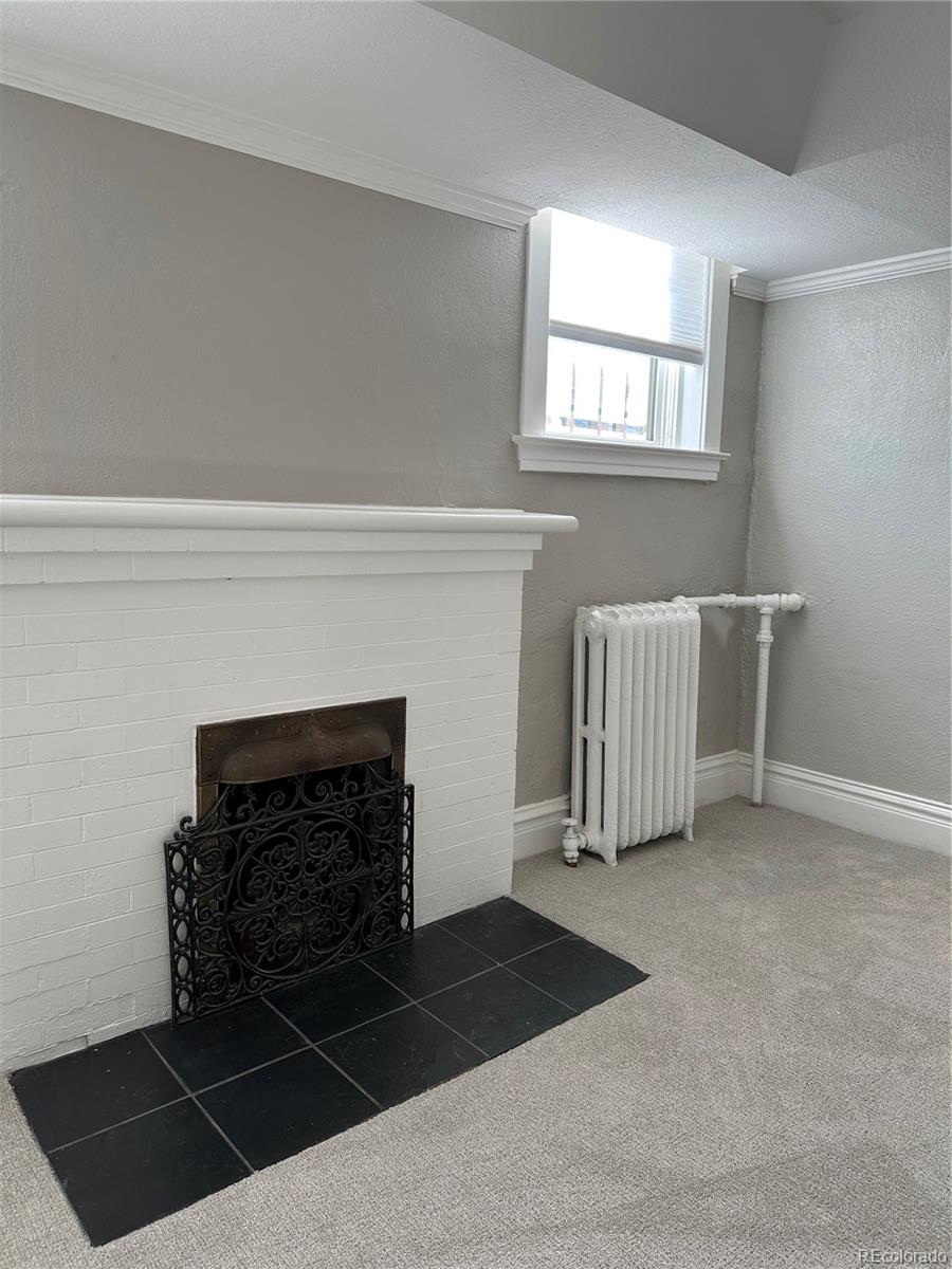 MLS Image #40 for 951 n corona street 5,denver, Colorado