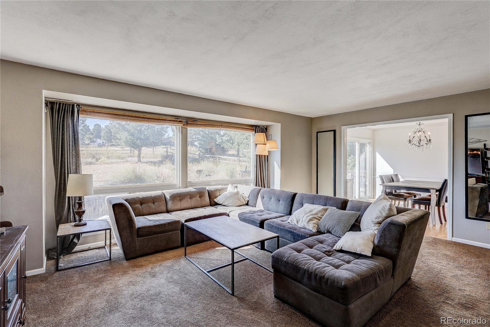 MLS Image #10 for 6809  hillside way,parker, Colorado