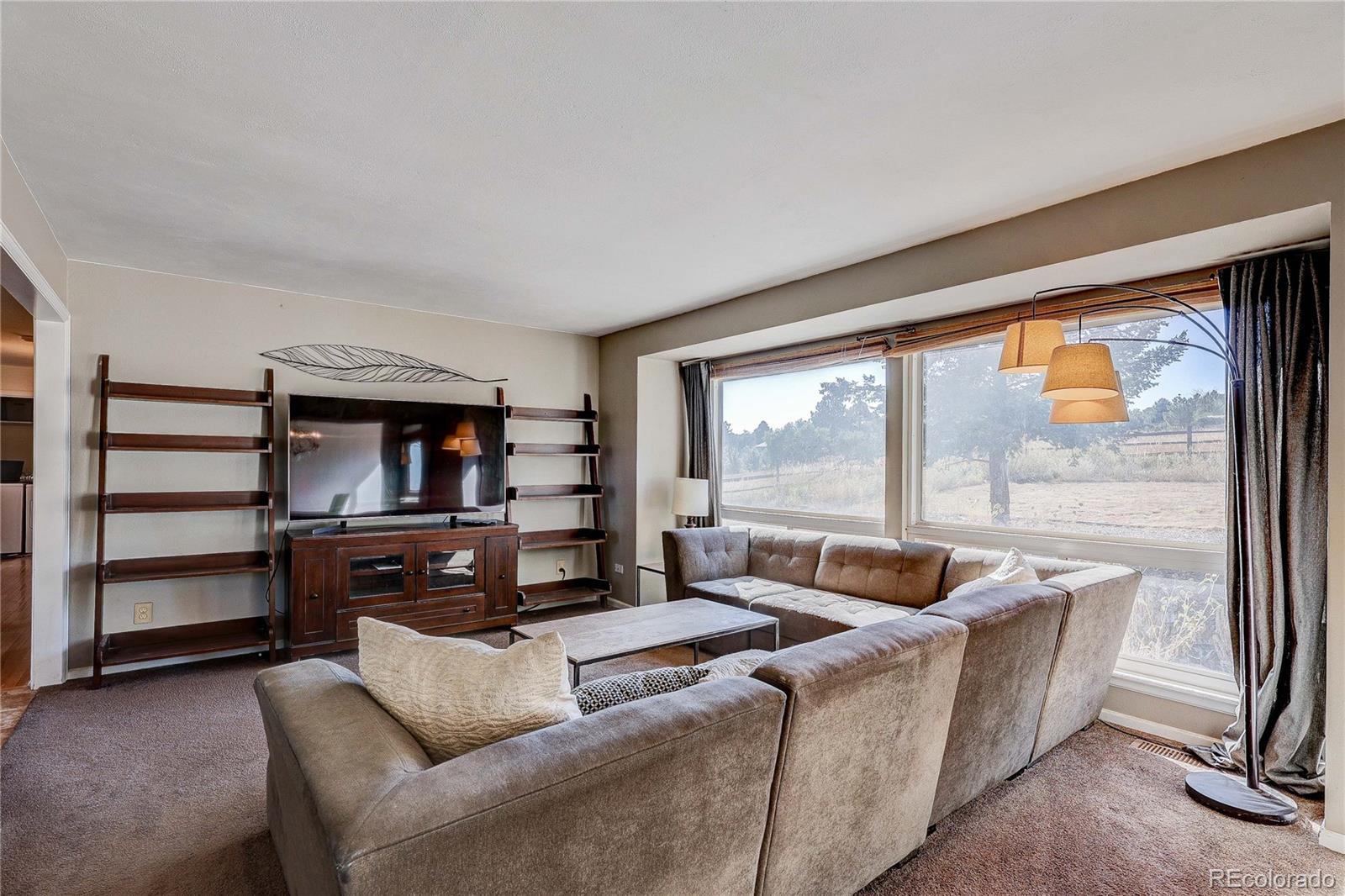 MLS Image #12 for 6809  hillside way,parker, Colorado