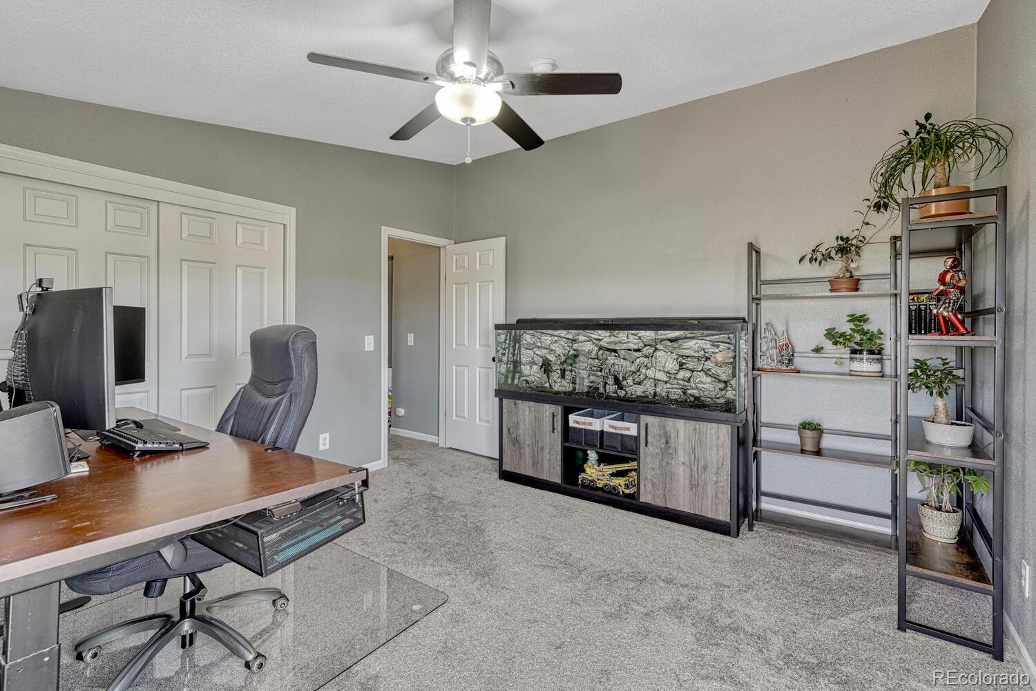 MLS Image #16 for 15371  buck creek road,elbert, Colorado