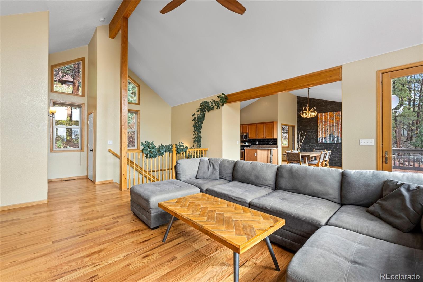 MLS Image #10 for 11665 s upper ranch drive,pine, Colorado