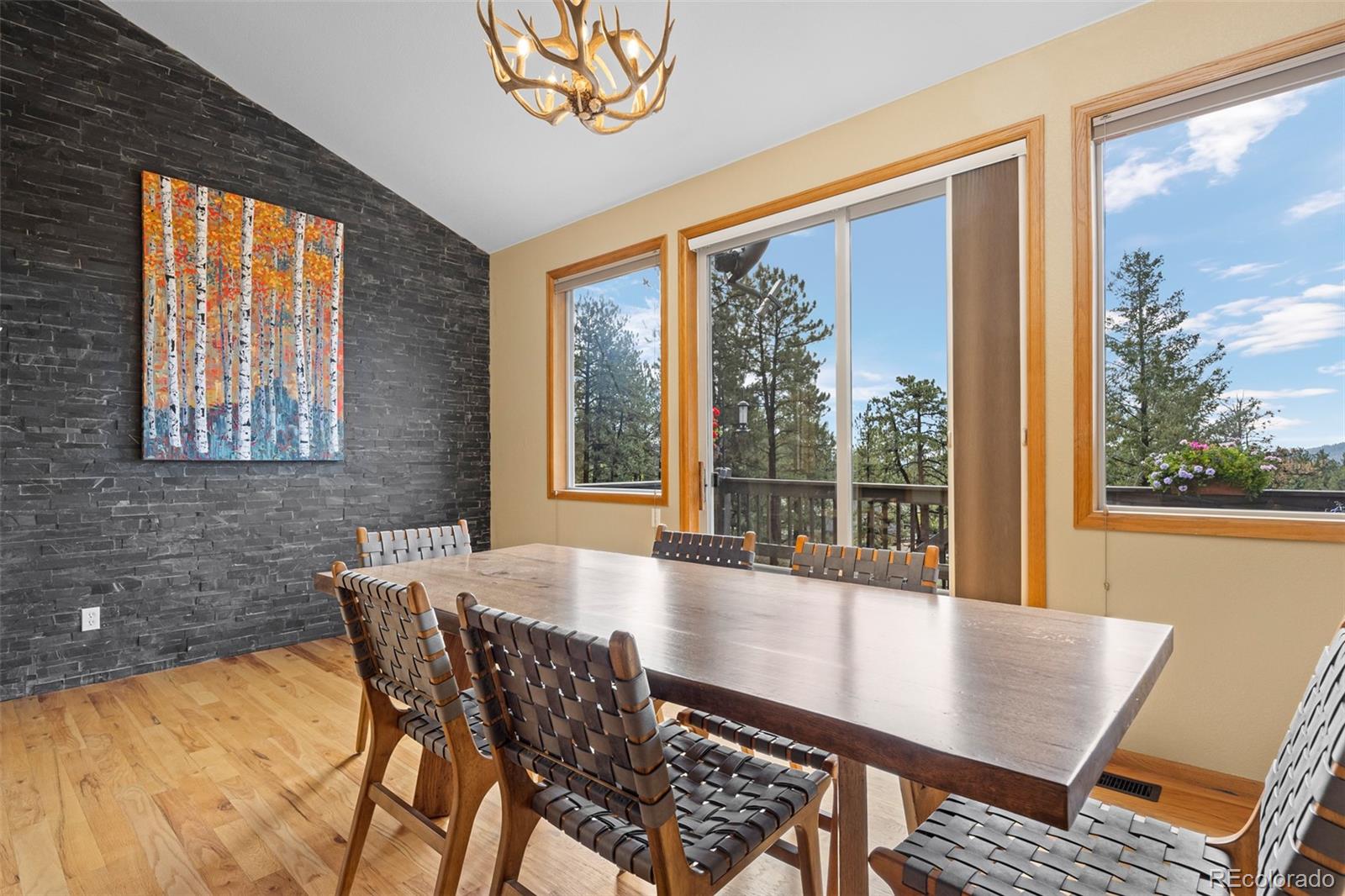 MLS Image #14 for 11665 s upper ranch drive,pine, Colorado
