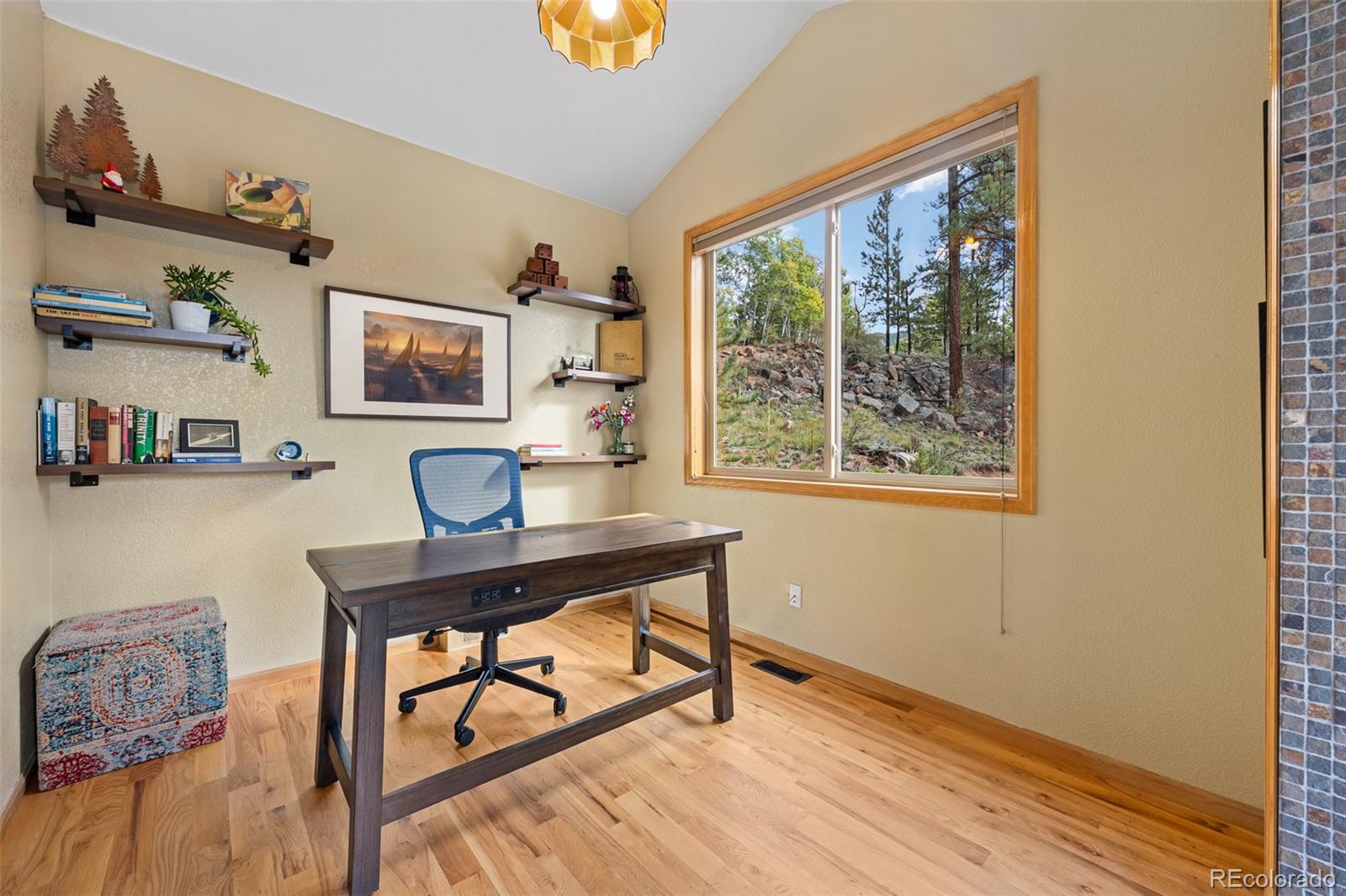 MLS Image #19 for 11665 s upper ranch drive,pine, Colorado