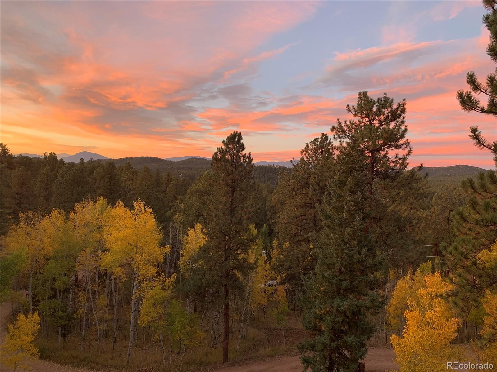 MLS Image #3 for 11665 s upper ranch drive,pine, Colorado