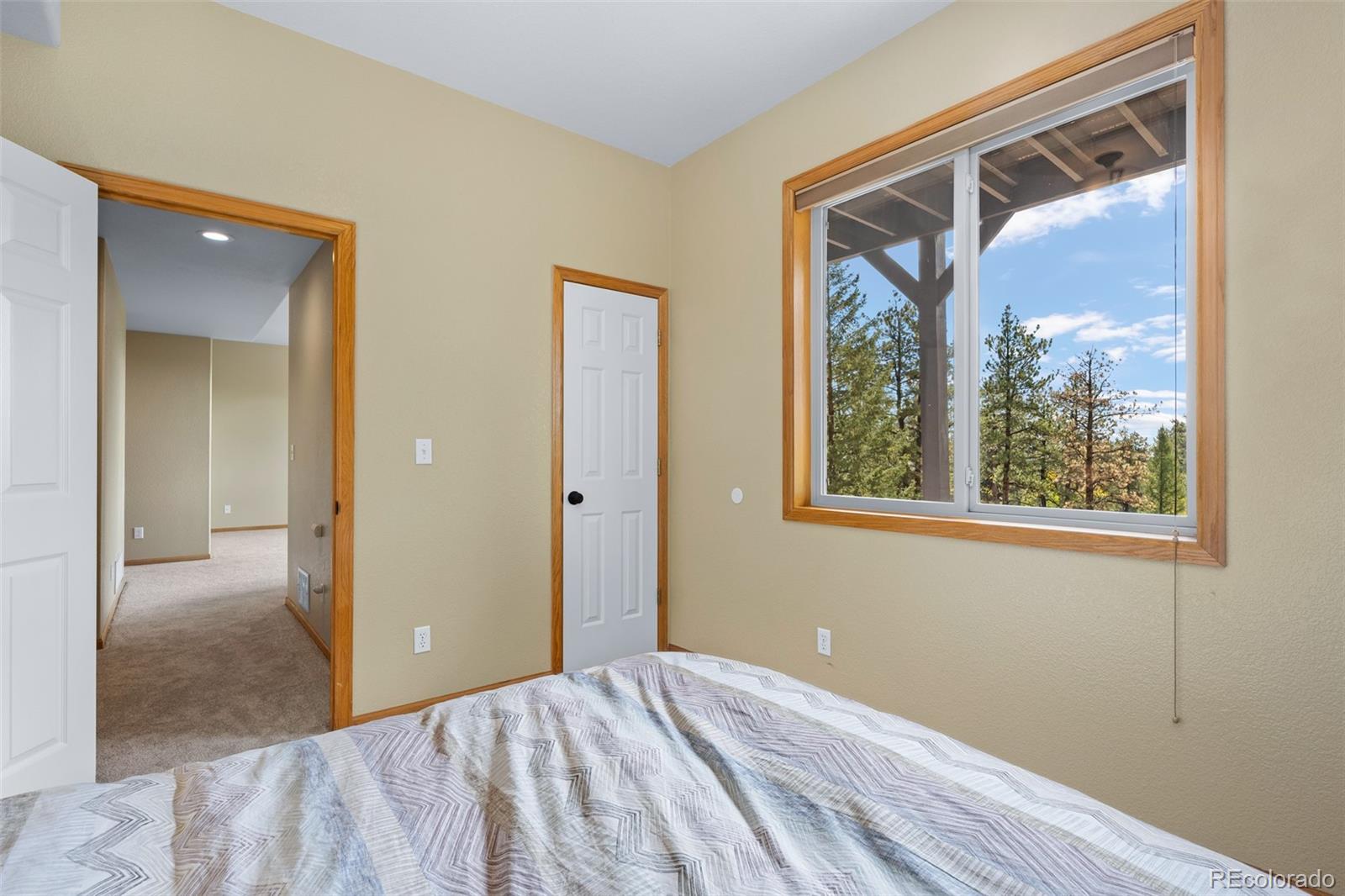 MLS Image #35 for 11665 s upper ranch drive,pine, Colorado