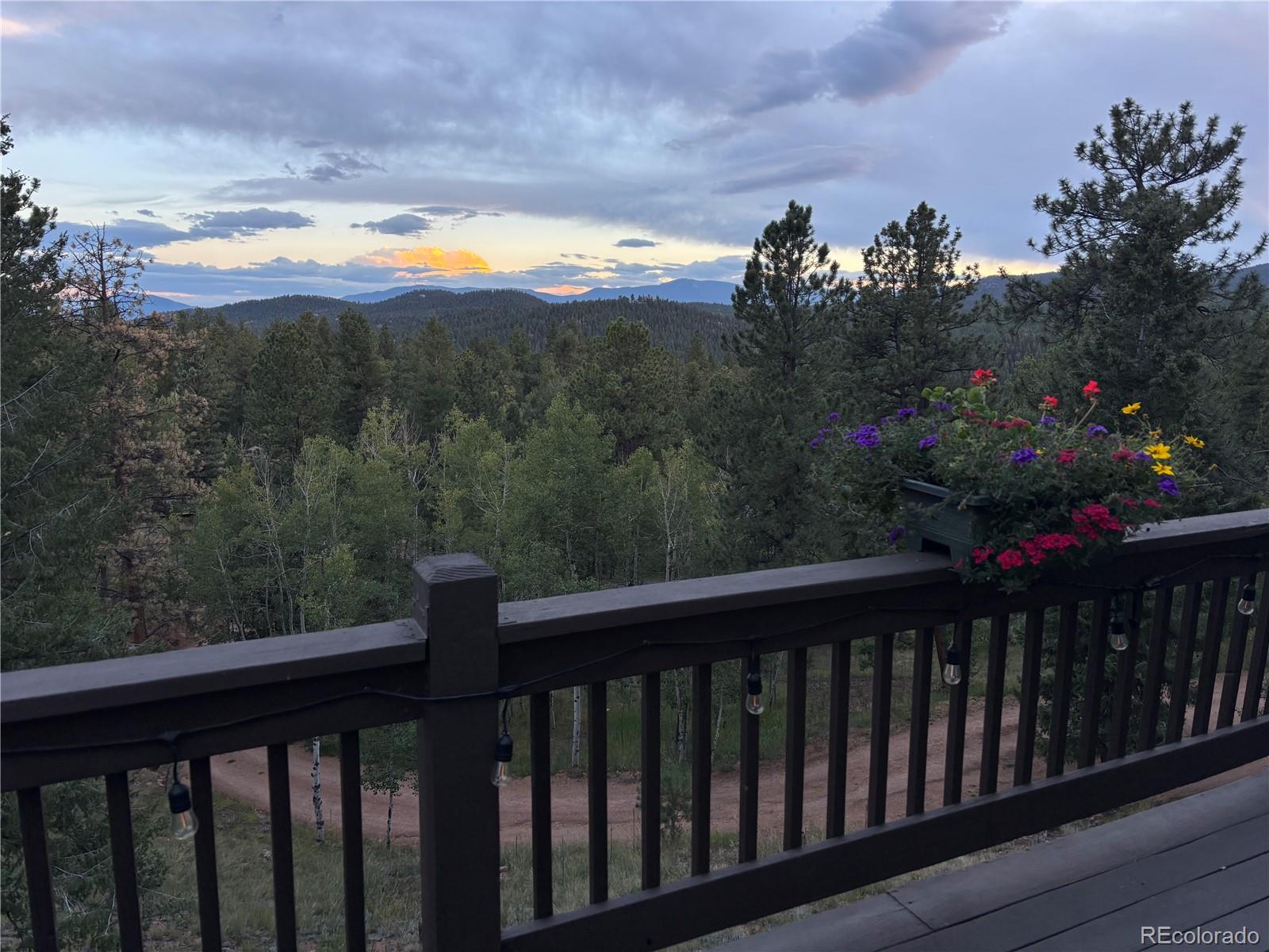 MLS Image #4 for 11665 s upper ranch drive,pine, Colorado