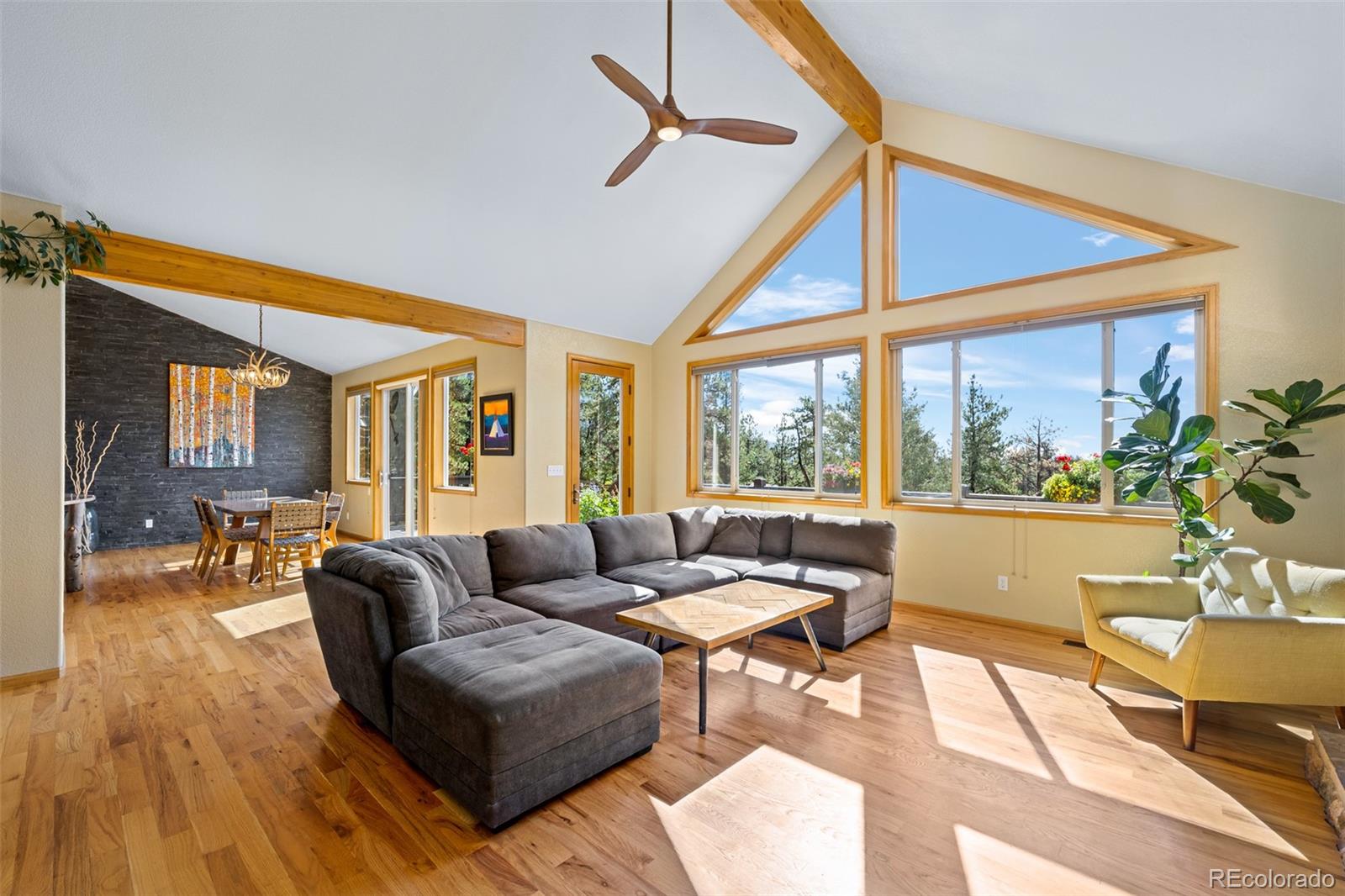 MLS Image #7 for 11665 s upper ranch drive,pine, Colorado
