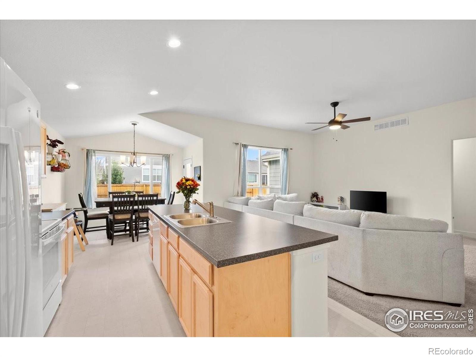 MLS Image #4 for 915  milner pass road,severance, Colorado