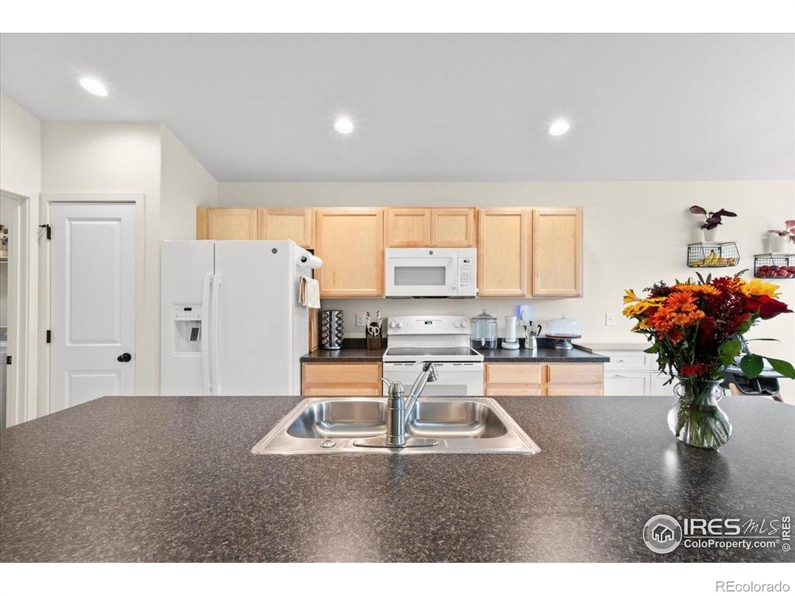 MLS Image #8 for 915  milner pass road,severance, Colorado