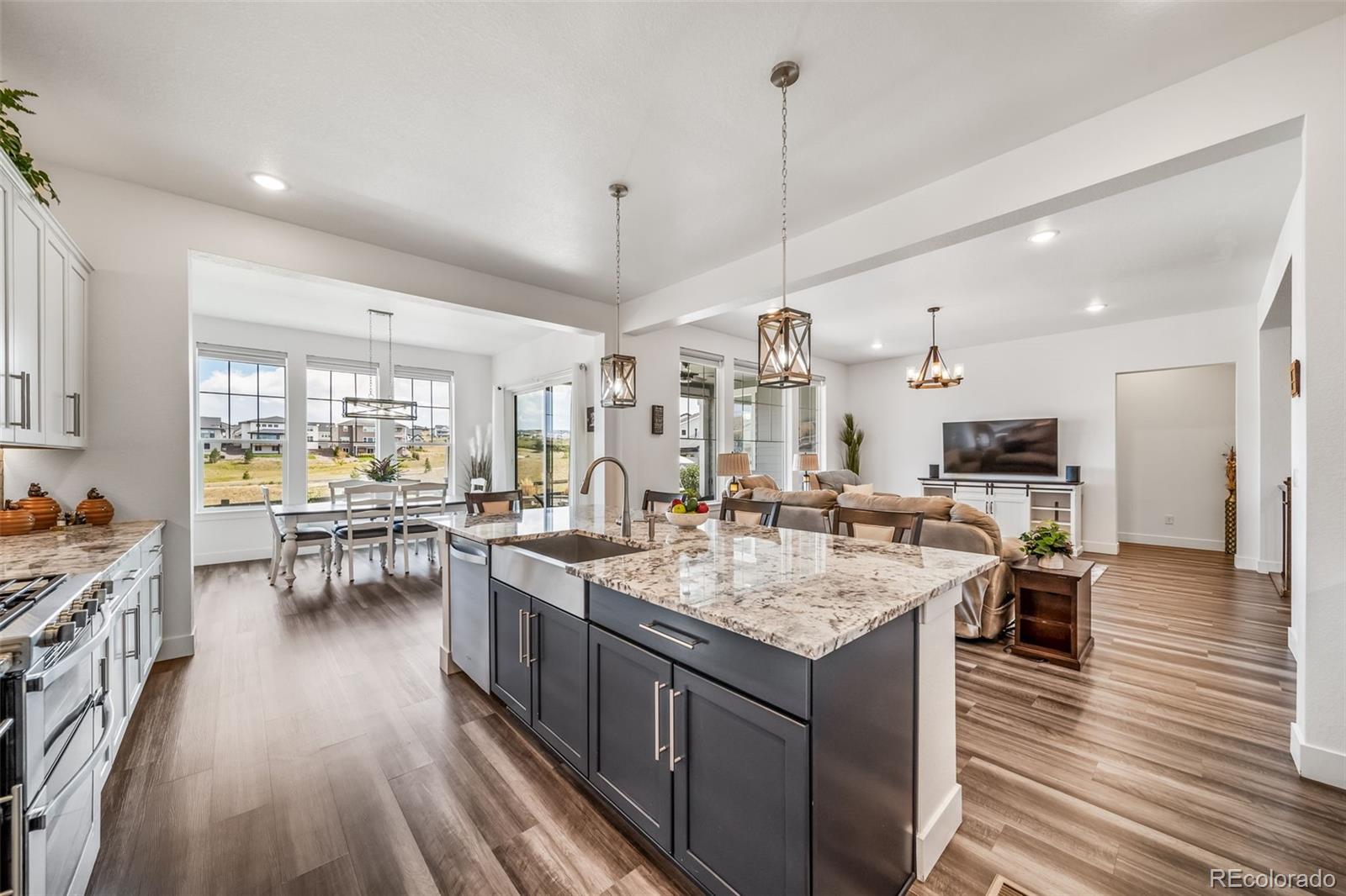 MLS Image #10 for 115  lovejoy circle,castle rock, Colorado