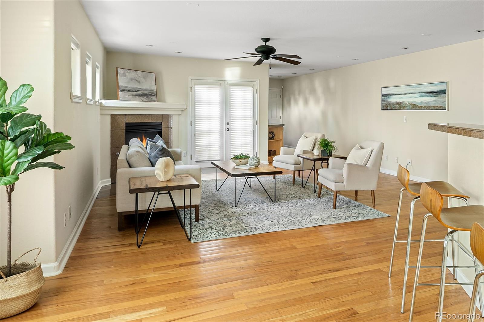 MLS Image #4 for 2434 s williams street,denver, Colorado