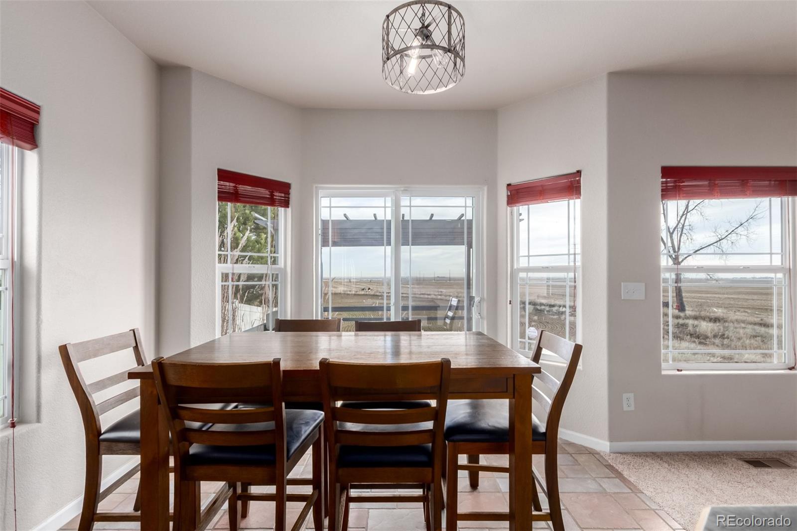 MLS Image #6 for 1210  glen creighton drive,dacono, Colorado