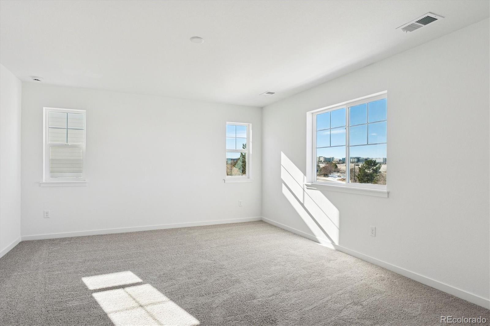 MLS Image #9 for 9148  hayden peak street,englewood, Colorado