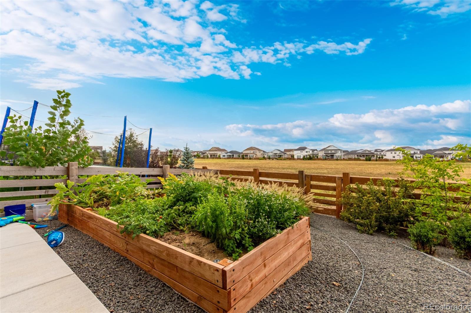 MLS Image #37 for 741  green mountain drive,erie, Colorado