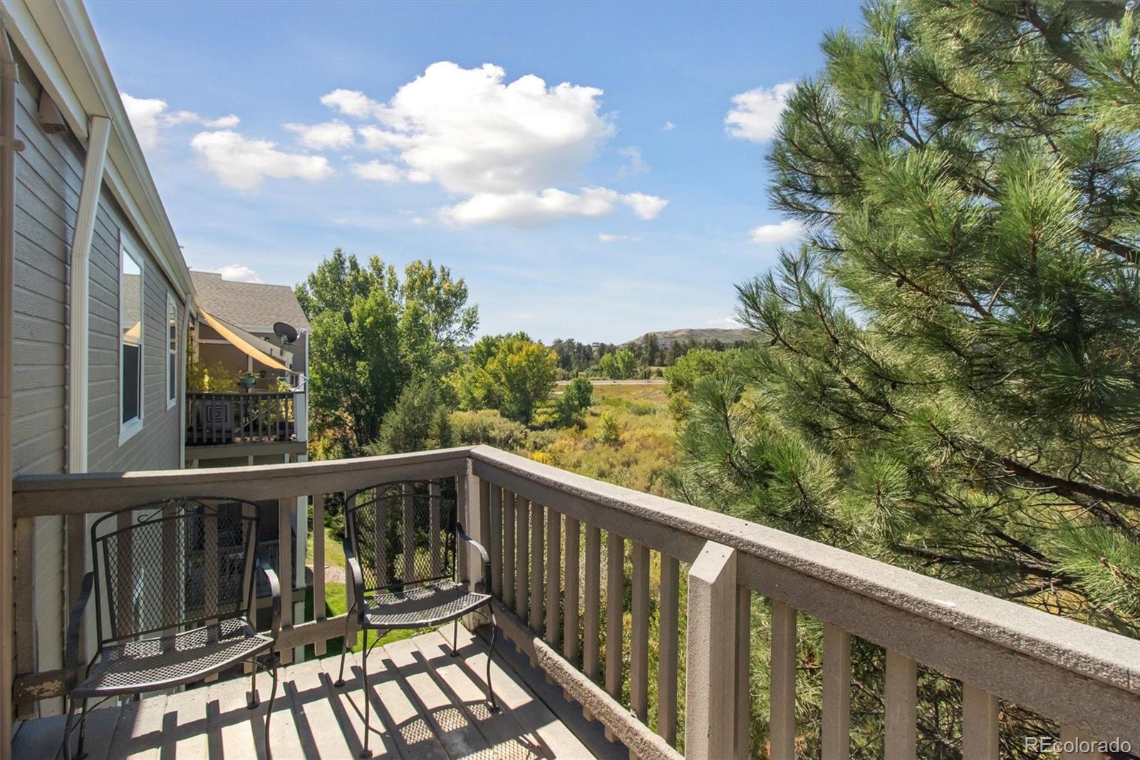 MLS Image #22 for 1251 s gilbert street 1251,castle rock, Colorado