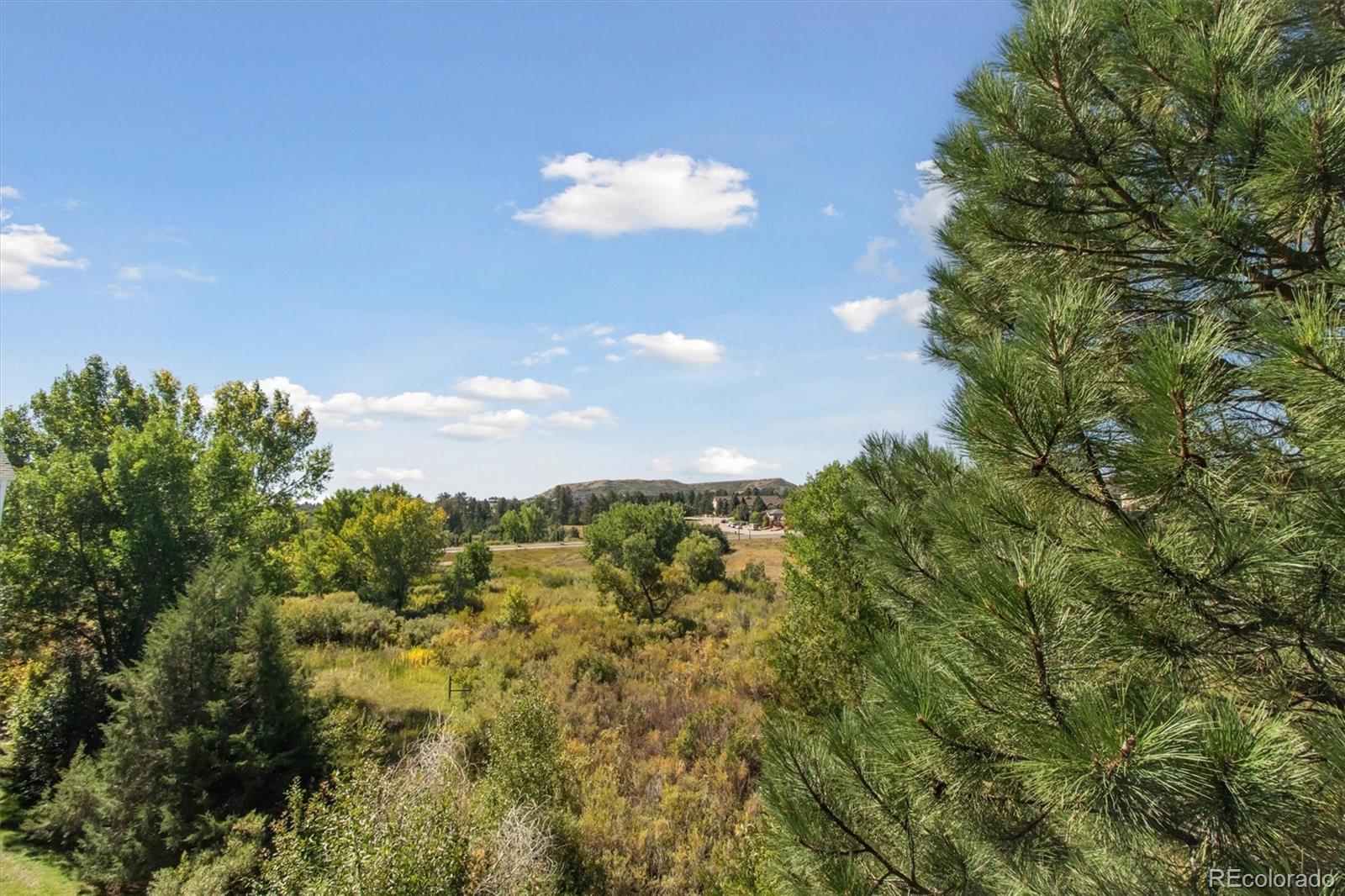 MLS Image #25 for 1251 s gilbert street 1251,castle rock, Colorado
