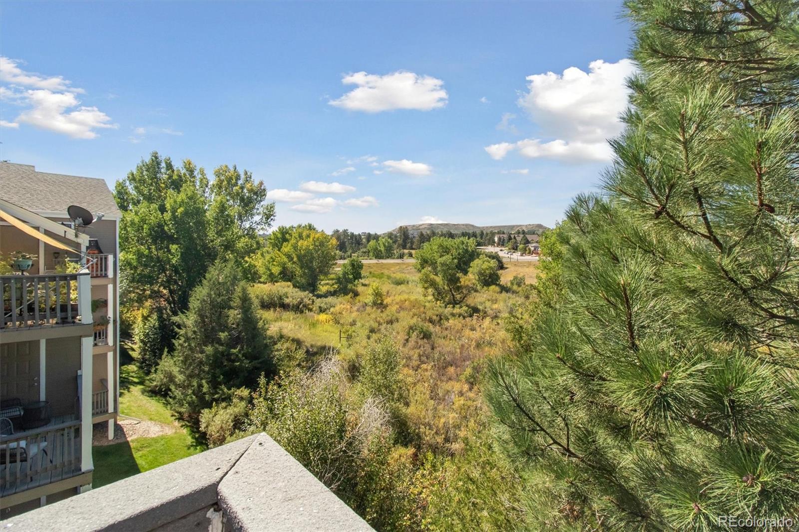 MLS Image #3 for 1251 s gilbert street 1251,castle rock, Colorado