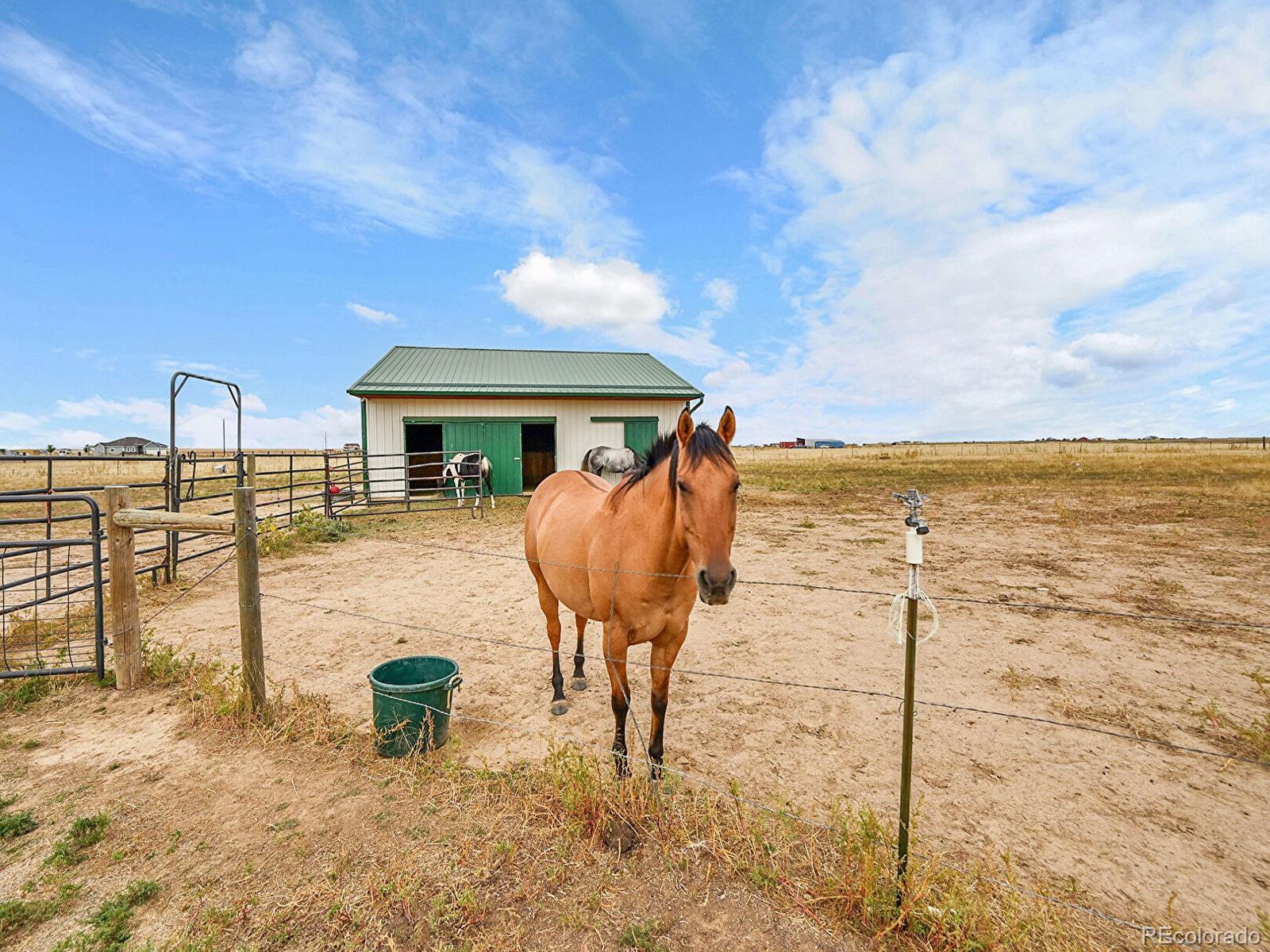MLS Image #28 for 10660  schumaker road,bennett, Colorado