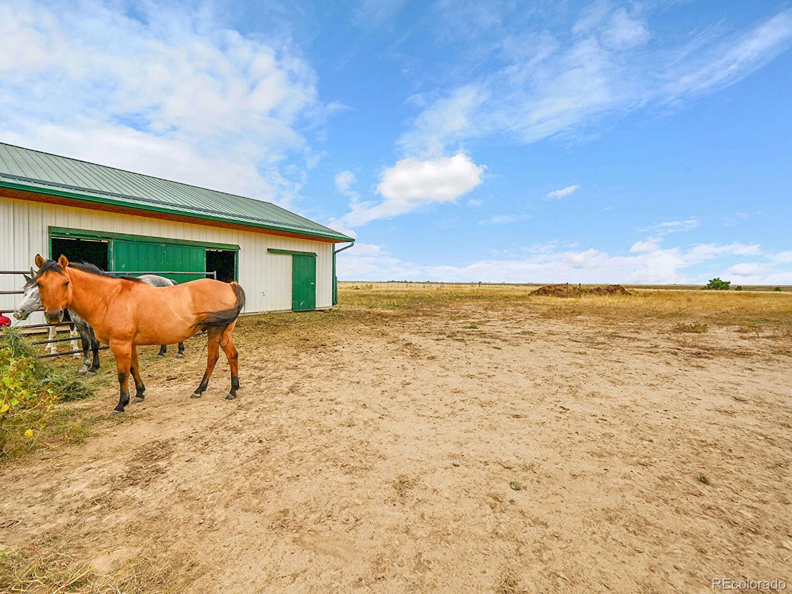 MLS Image #45 for 10660  schumaker road,bennett, Colorado
