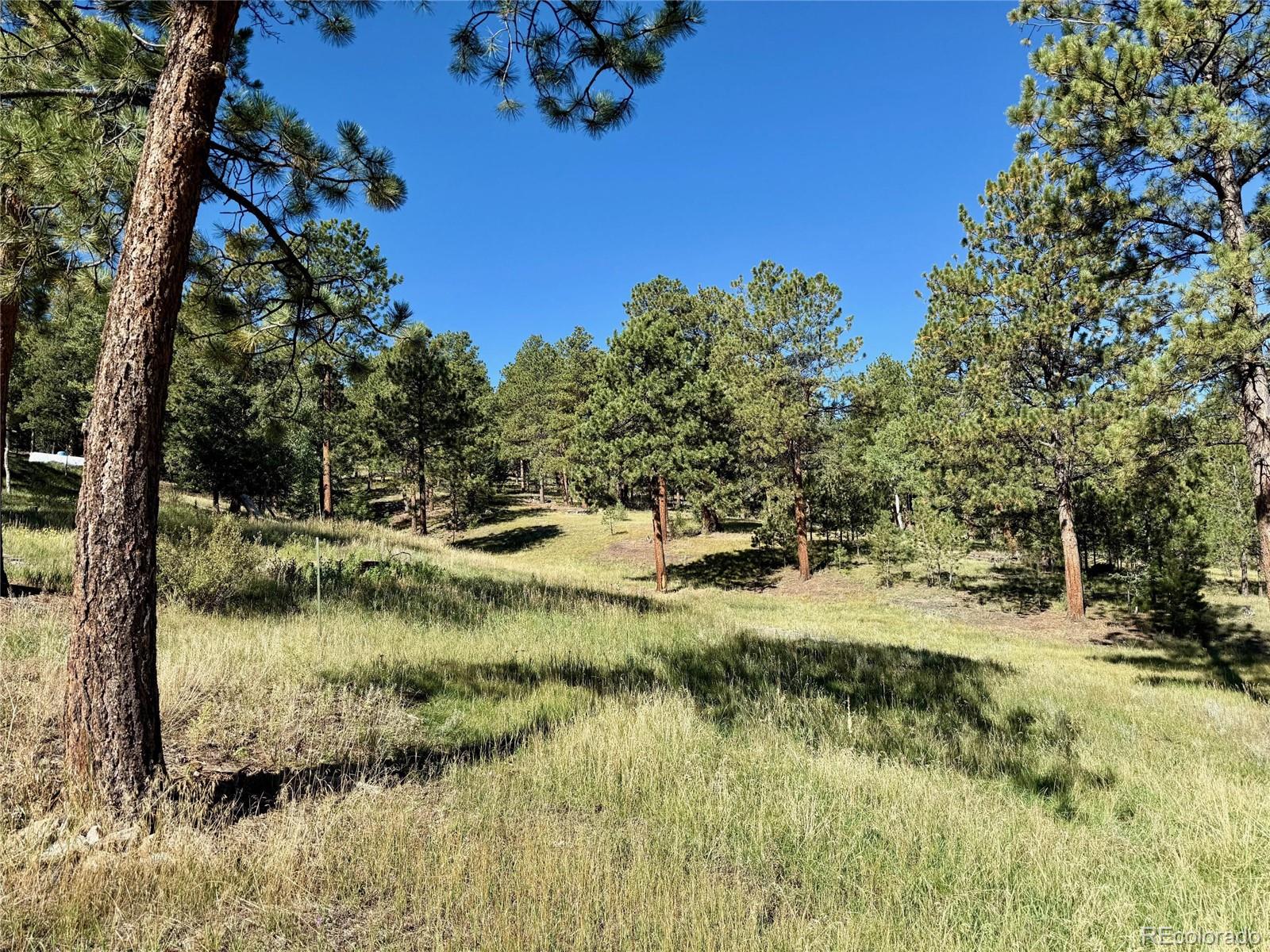 MLS Image #26 for 14271  jubilee trail,pine, Colorado