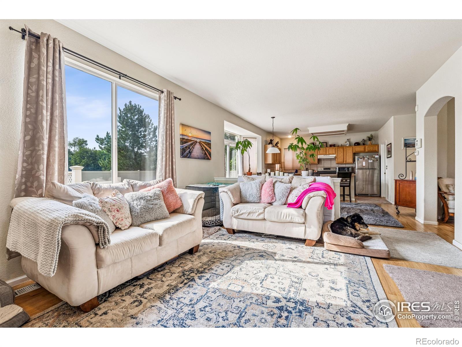 MLS Image #17 for 644 n beshear court,erie, Colorado