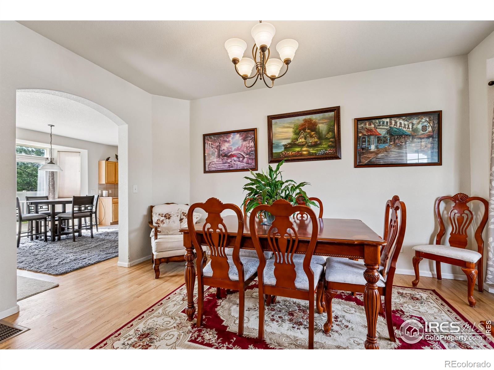 MLS Image #18 for 644 n beshear court,erie, Colorado