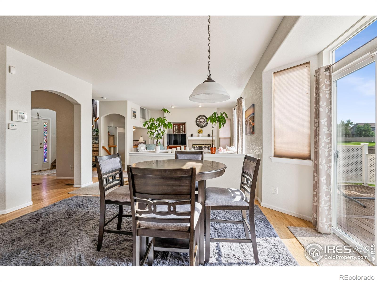 MLS Image #22 for 644 n beshear court,erie, Colorado