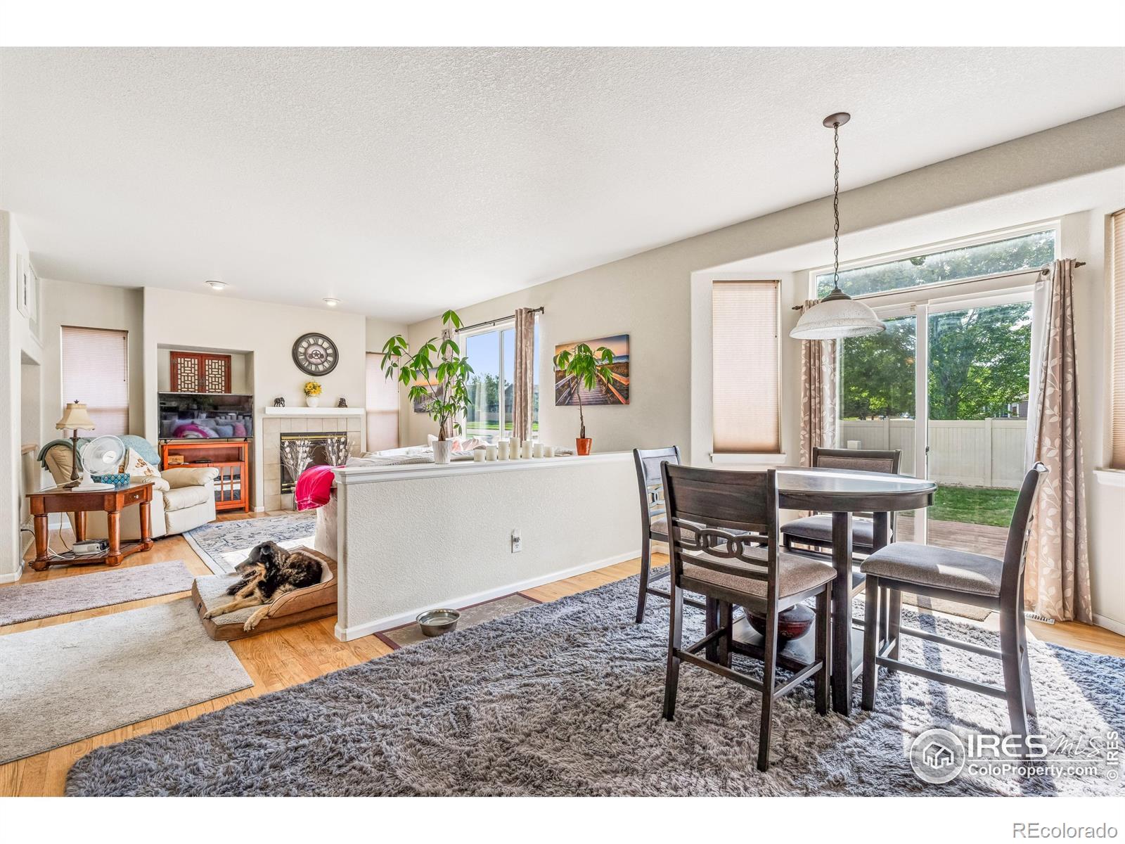 MLS Image #25 for 644 n beshear court,erie, Colorado