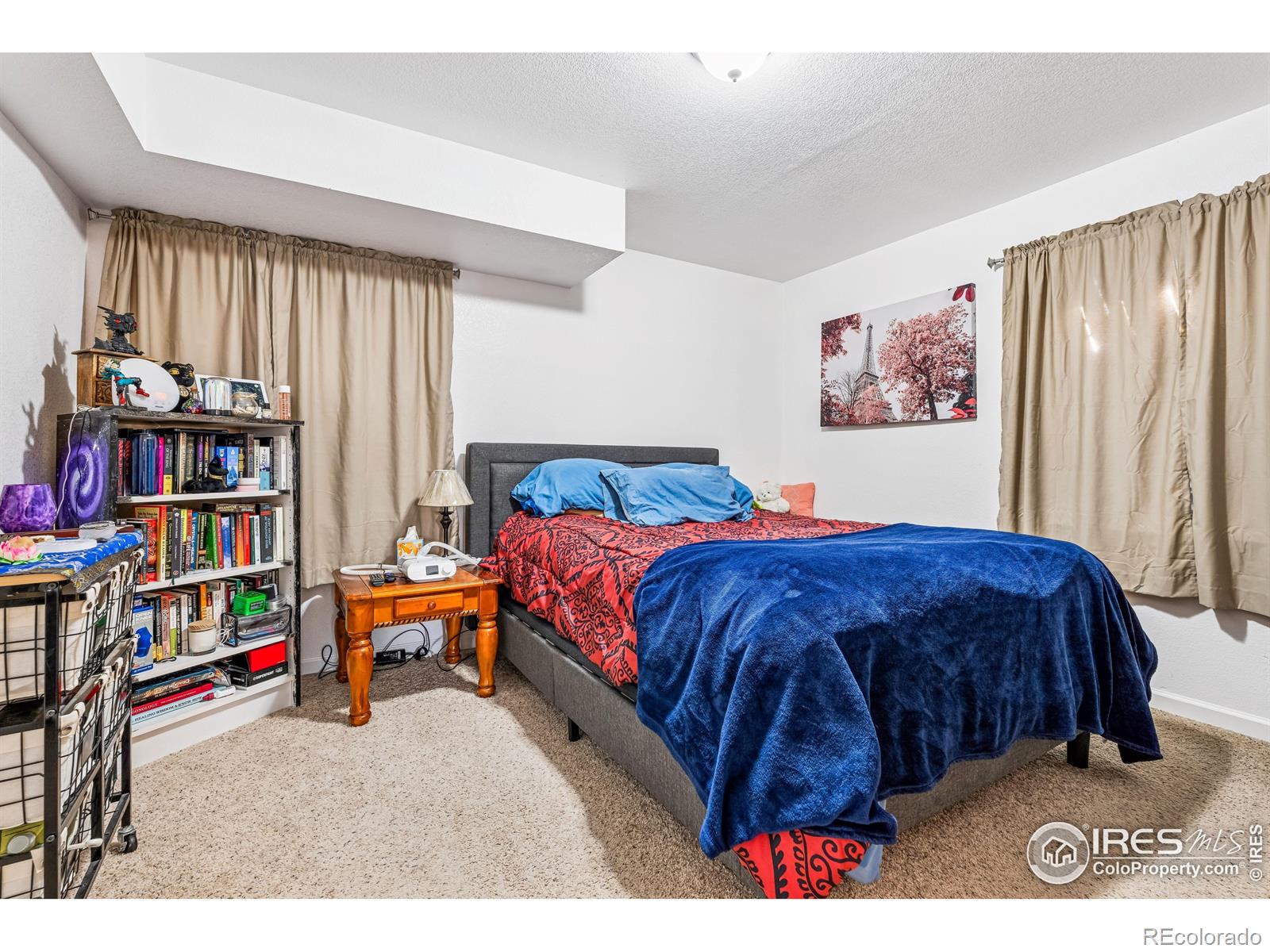 MLS Image #33 for 644 n beshear court,erie, Colorado