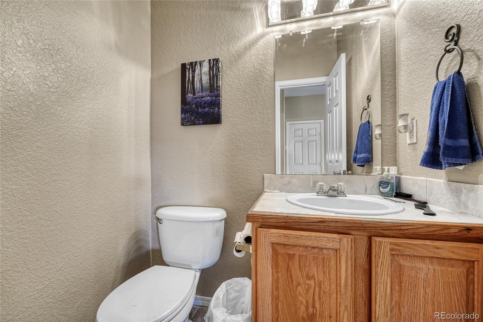 MLS Image #6 for 10329  halleys way,littleton, Colorado