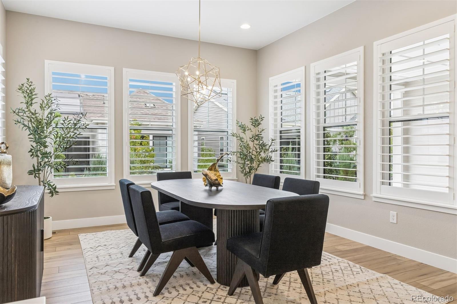 MLS Image #12 for 11415  warm wind street,littleton, Colorado