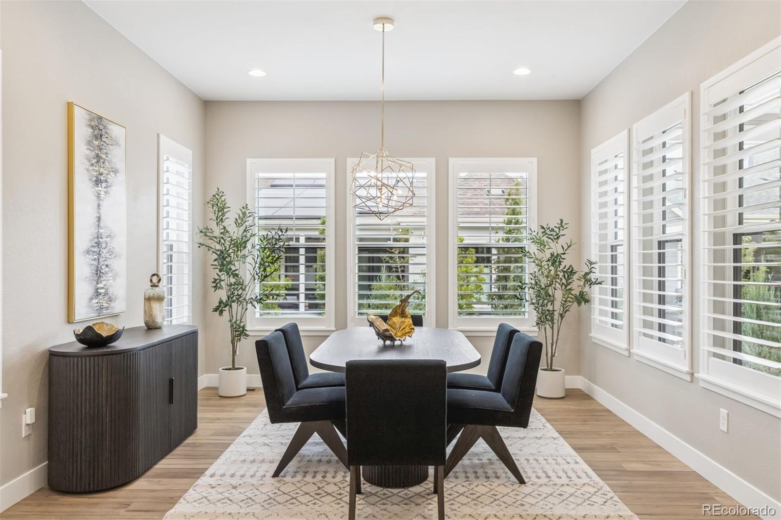 MLS Image #13 for 11415  warm wind street,littleton, Colorado