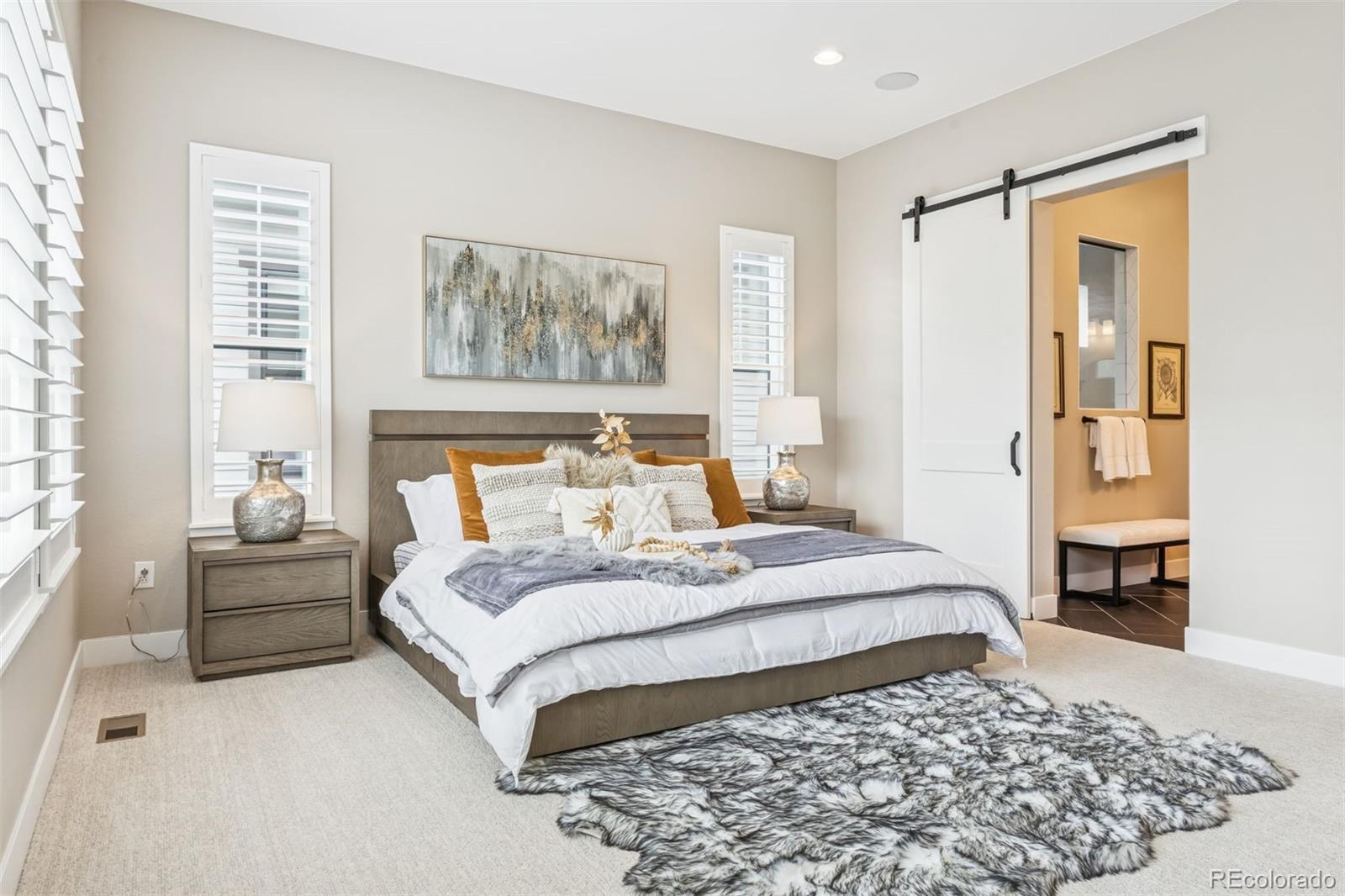 MLS Image #19 for 11415  warm wind street,littleton, Colorado