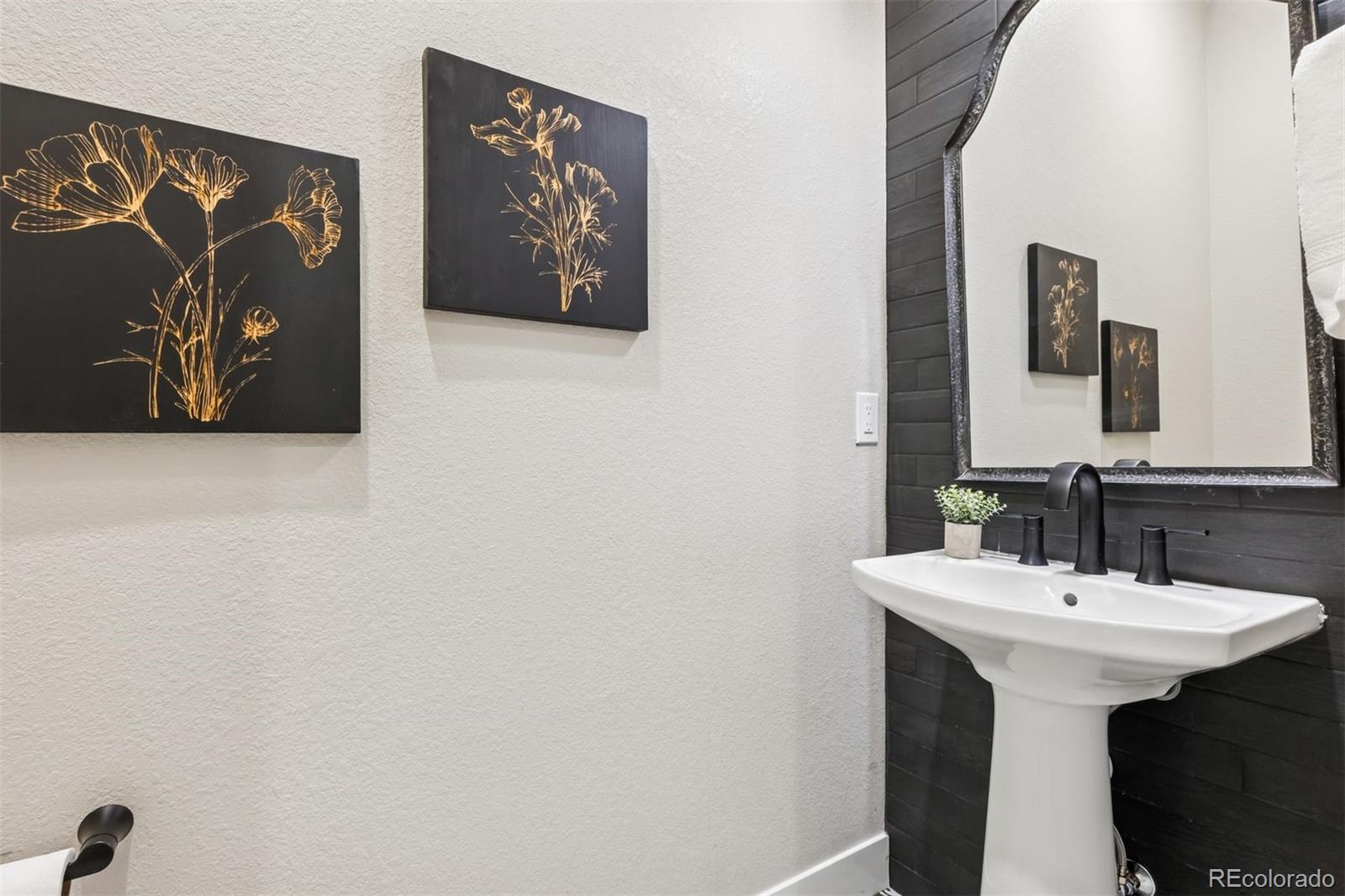 MLS Image #29 for 11415  warm wind street,littleton, Colorado