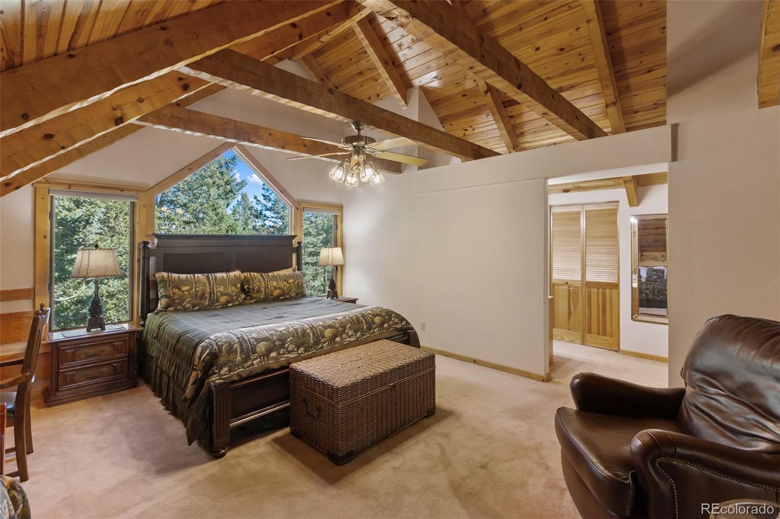 MLS Image #17 for 206  pinto drive,woodland park, Colorado
