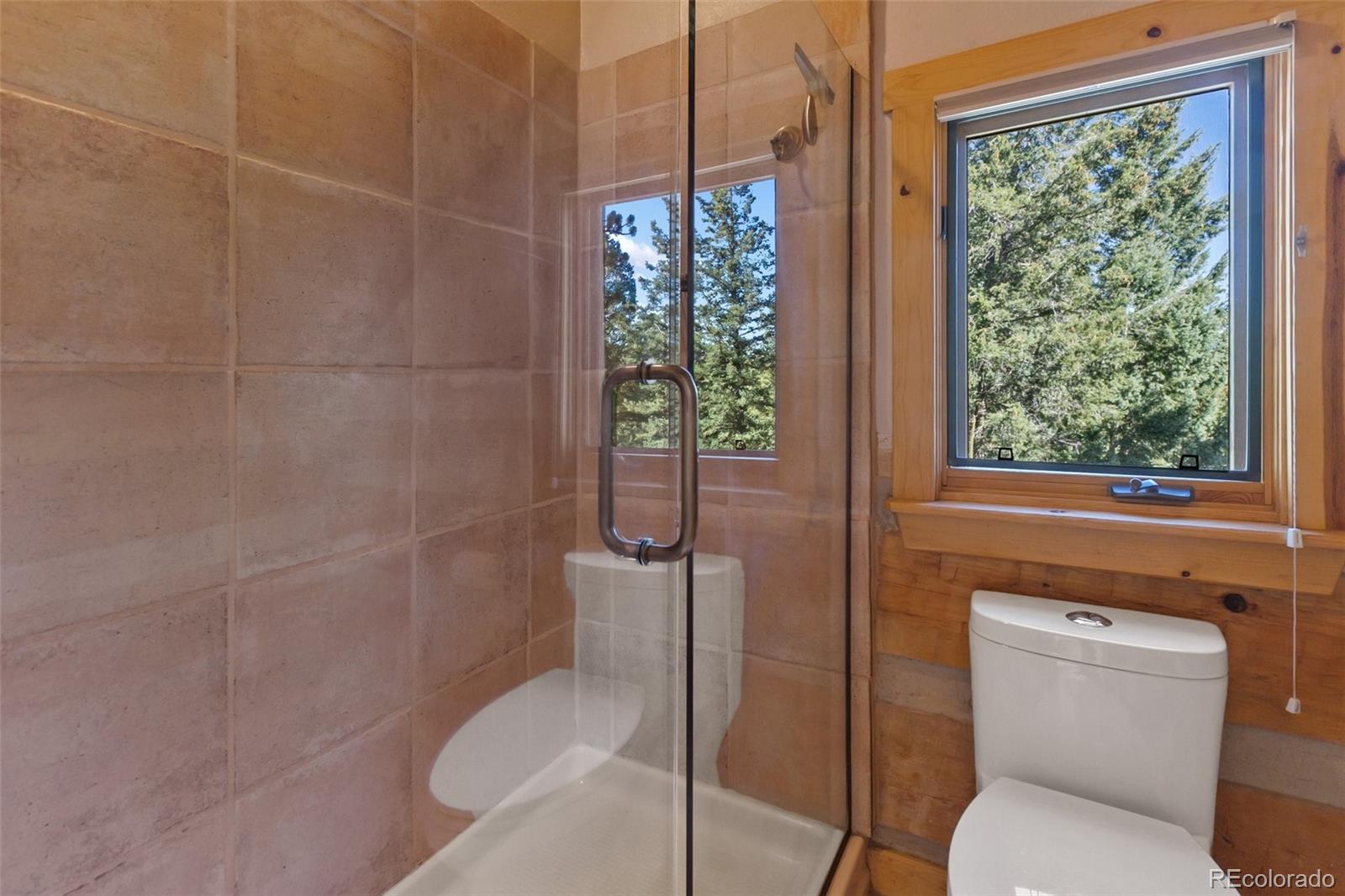 MLS Image #20 for 206  pinto drive,woodland park, Colorado