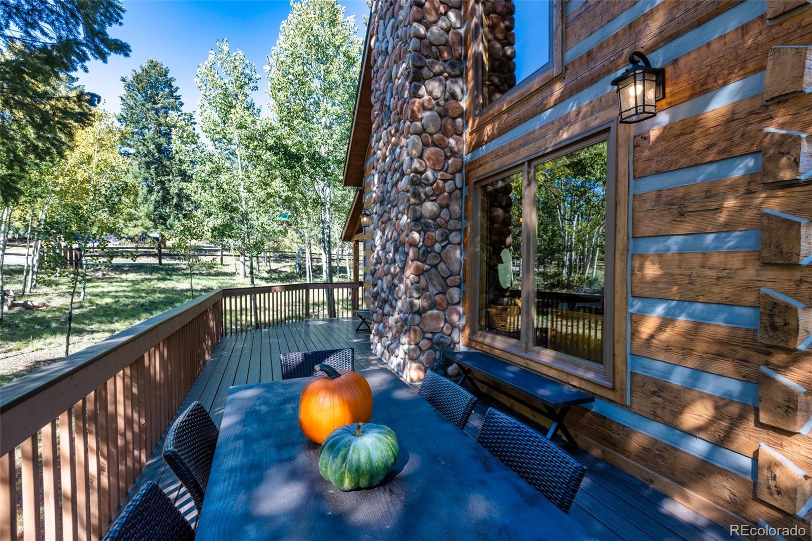 MLS Image #35 for 206  pinto drive,woodland park, Colorado