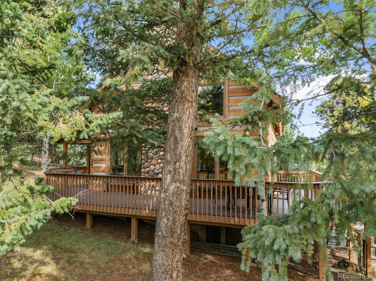 MLS Image #43 for 206  pinto drive,woodland park, Colorado