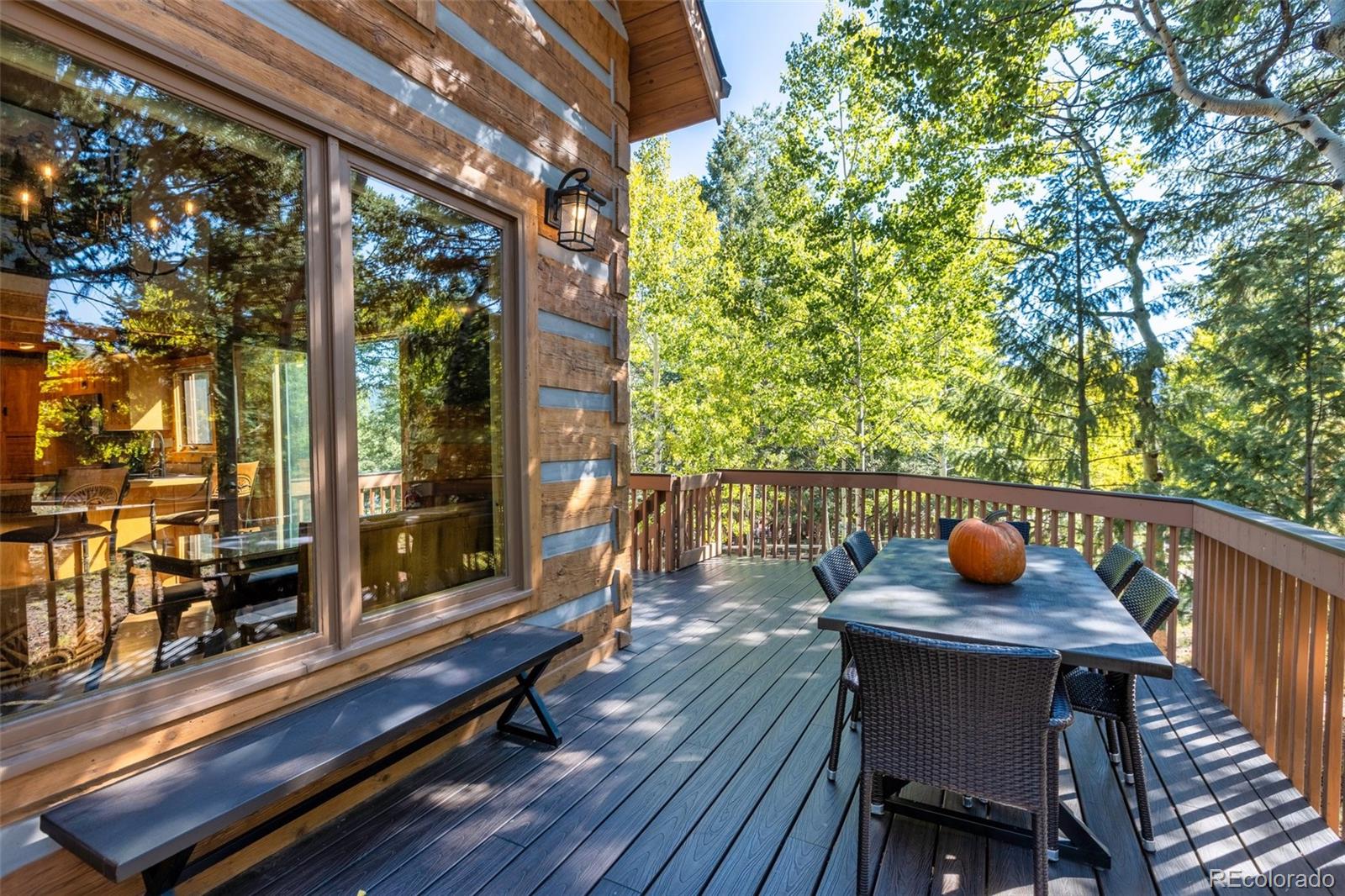 MLS Image #5 for 206  pinto drive,woodland park, Colorado