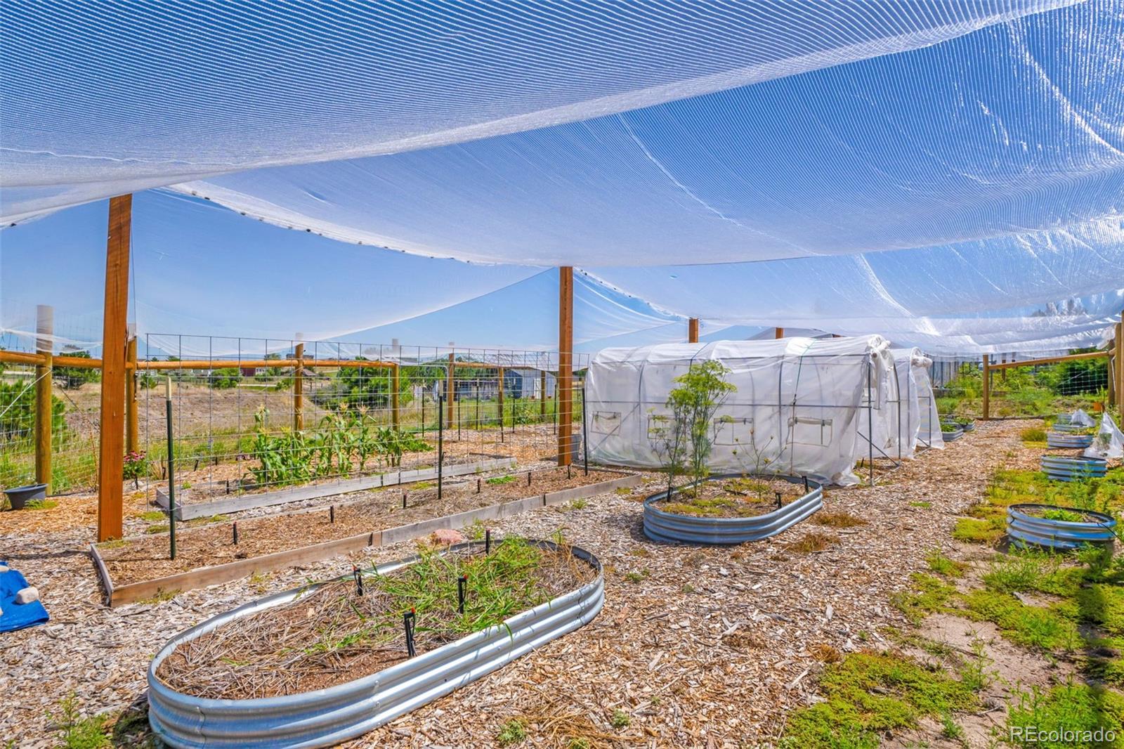 MLS Image #4 for 36023  winchester road,elizabeth, Colorado